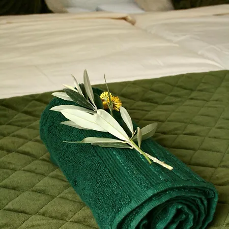 Le Clos Des Laurons * نييون