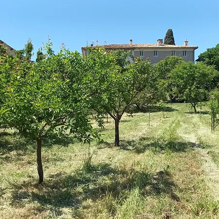 Le Clos Des Laurons نييون