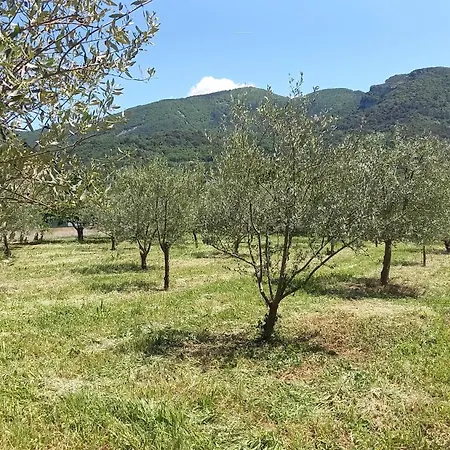 Le Clos Des Laurons * نييون